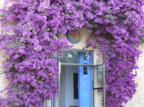 Villa Station Las Salinas