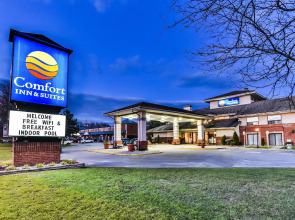 Comfort Inn & Suites Ambassador Bridge
