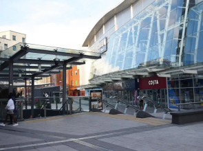 The Jungle Apartment