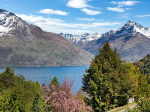 Sunshine Bay Lake Views