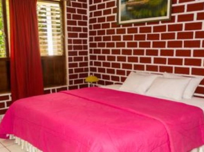 Albergue La Jungla