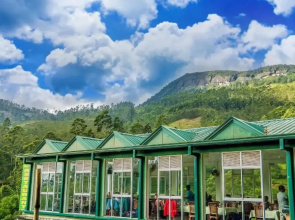 Punsisi Resort - Delhousie Adamspeak