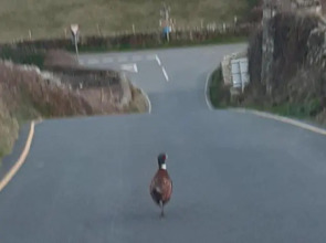 The Little Boathouse Heated