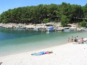 Iva - Great Garden - H