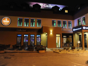 Hotel Gallus