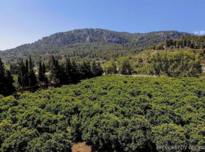 Agroturismo Son Galcerán
