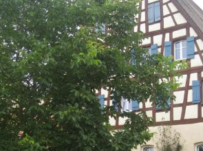 Landhaus Folk