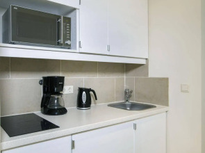 Hahn Apartment Vienna City