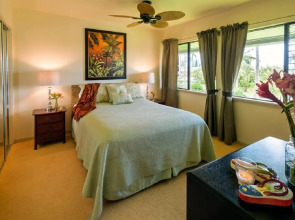 Alii Kai 8H-top floor corner, ocean view, pool, hot tub, BBQ, free parking