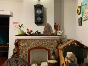 The Birdhouse Backpackers Hostel