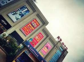 Dog House Young Hostel