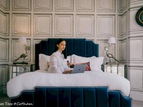 Your Apartment Rowan Tree - No.6