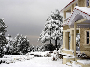 Tree of Life Grand Oak Manor, Binsar Wildlife Sanctuary