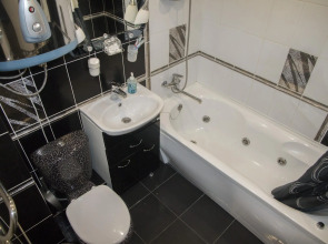 Барбарис на улице Парижской Коммуны 40