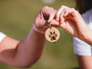 Rodinný Penzión Chata Ťapka