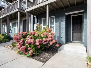 Near Gulch 12 South Book Luxury Now