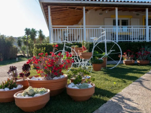 Fully Equipped Beach House at Pachia Ammos Plytra