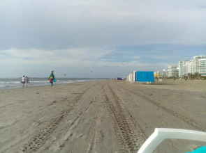 Junto Al Mar Y El Manglar