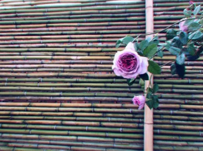 Nanjing Tangshan Garden Hot Spring homestay