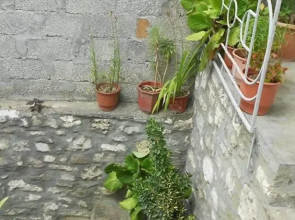 Guest House Alvaro