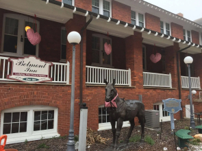 The Belmont Inn