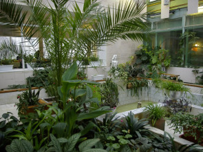 Севмаш санаторий