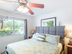Wonderful Kihei Kai Nani renovated condos - 230
