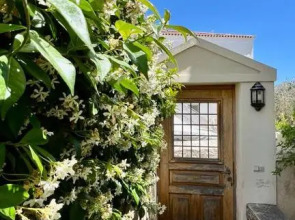 Wood + Blossom by Gcollection