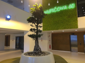 Quality Apartment Miletičova