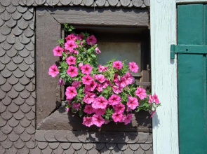 Gasthaus Pension Zum Löwen