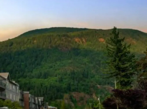 Scenic 3BR Penthouse Suite