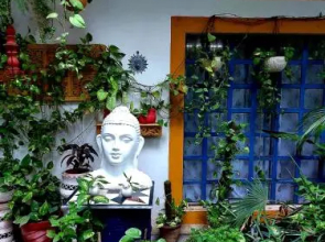 The Coral House Homestay