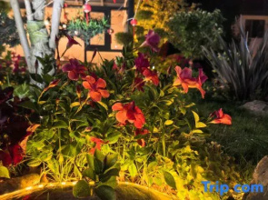 Ledao Yunnan |Mountain View Room|The Snow Mountain of Sunrise Garden Resort Designer Inn