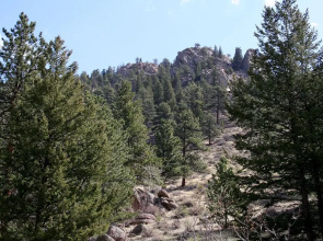 Timber Creek Chalets: 5