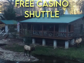 Qualla Cabins and Motel Cherokee near Casino