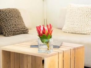 THEBLOEM
