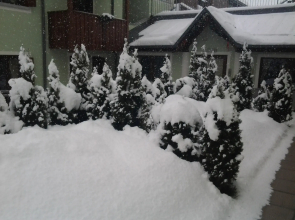 Residence Rosa Delle Dolomiti