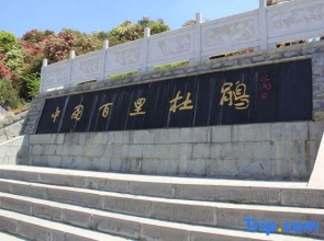 Baili Rhododendron  Language HallInn