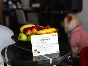 Park Inn by Radisson Dubai Motor City