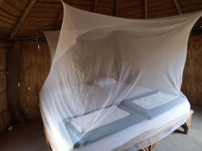 Ecolodge de Koba