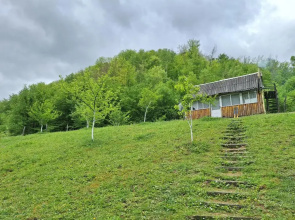 Country house Tara Orasac