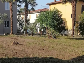 B&BIGLUCCA