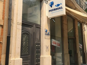 Pedregal Apartments