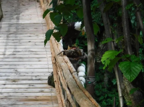 Brigitte's Bavarian Bed und Breakfast