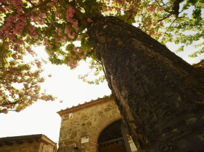 Podere Vignola
