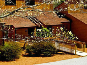 Fairway Forest