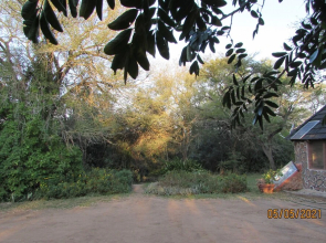Romantic Canvas pad on River, Share Shower With Monkeys and Listen to the Lions