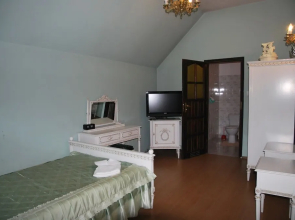 Palac w Czyzowie szlacheckim