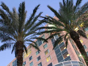 Moody Gardens Hotel, Spa and Convention Center