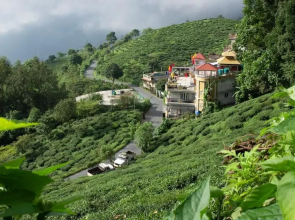 Traditional Hotel And Restaurant